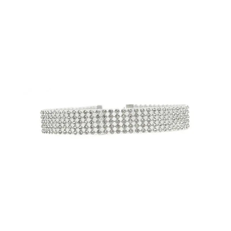 Elegant Crystal Rhinestone Choker Necklace for Women – Wedding & Party Jewelry | AlinKriti hz4es6-6w